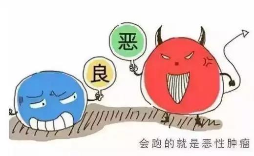 肿瘤到了晚期,还要不要继续治疗?(图1)