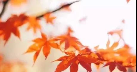 为何“中风”越来越多?很多都误在这"3个字"上!(图1)