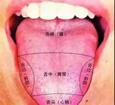 肝在肝里失眠,火在胃里口臭,火在肺里咳嗽,火在....(图3)