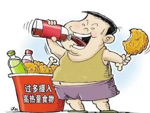 营养过剩是罹患恶性肿瘤的重要原因!(图4)