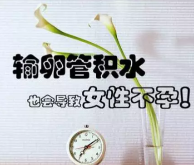 输卵管积水，不孕路上的“刽子手”(图1)