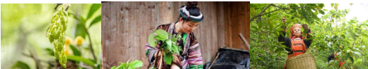 “女神节”到，“浴”将自己放松、调理!(图8)