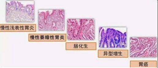 微信图片_20211108133831.jpg