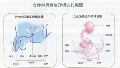 微信图片_20211124161641.jpg