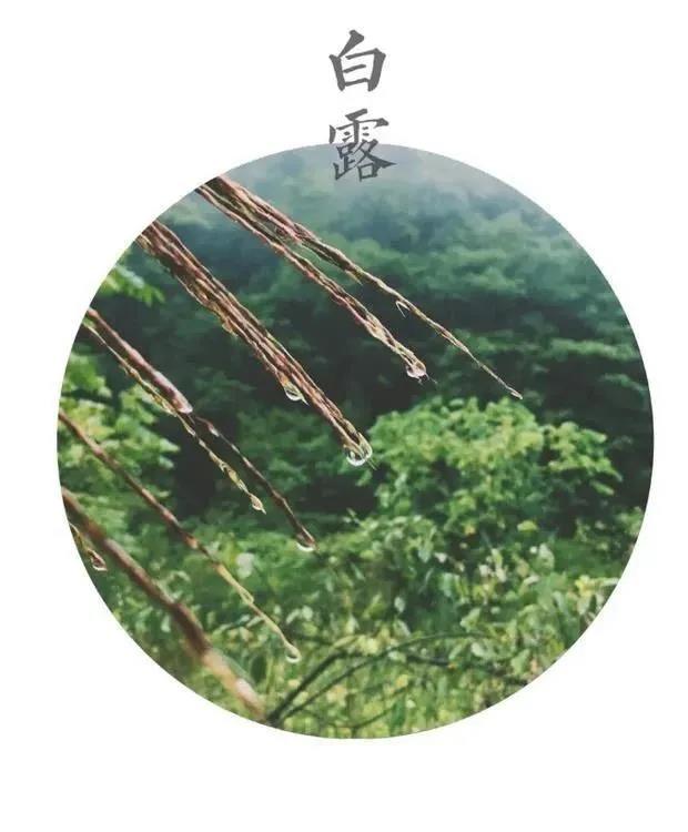 微信图片_20210907152633.jpg