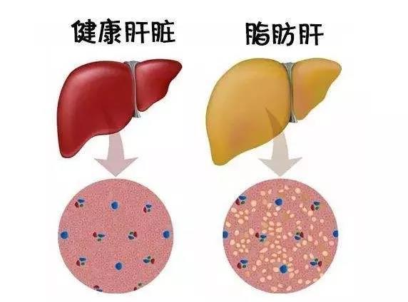 微信图片_20211124161138.jpg