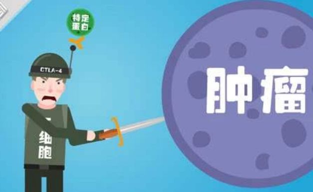 【关注】“糖”加速肿瘤细胞生长,肿瘤患者要戒“糖”吗?(图2)