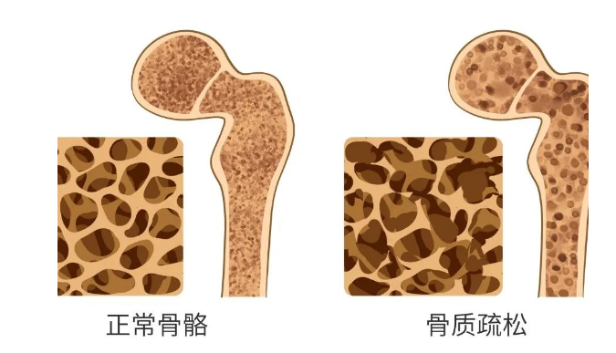 微信截图_20231106154315.png